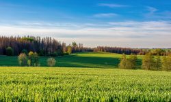 Inwestowanie w ziemię coraz atrakcyjniejsze